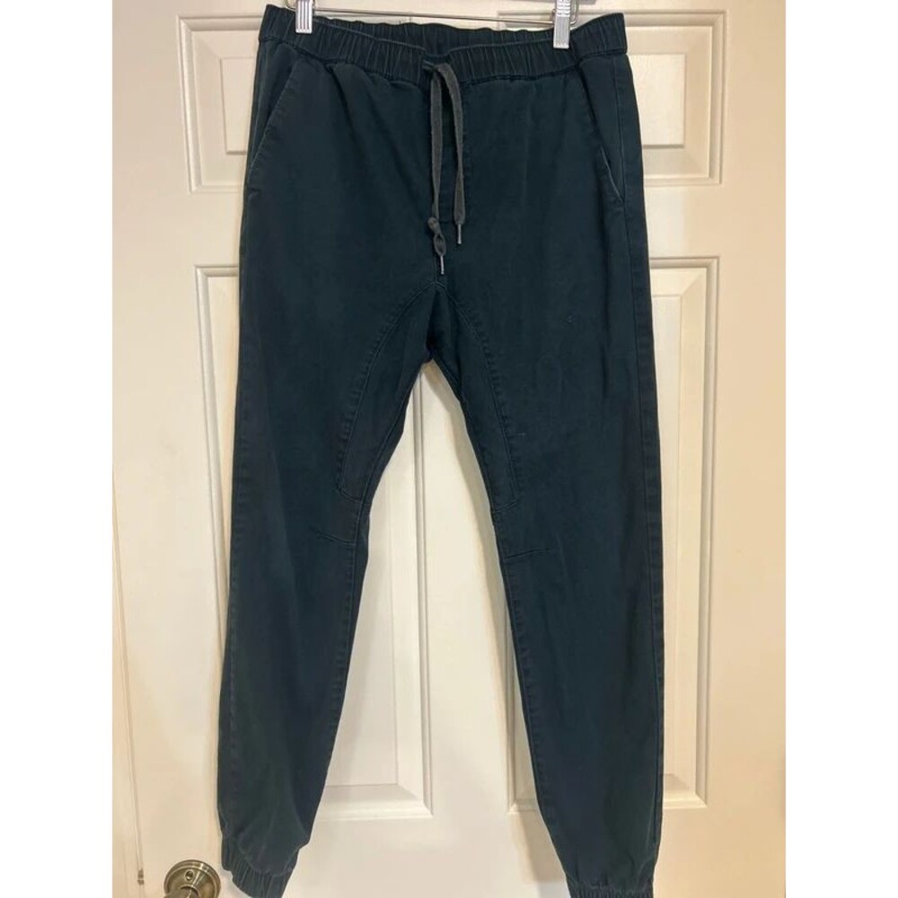 Pacsun jogger pants